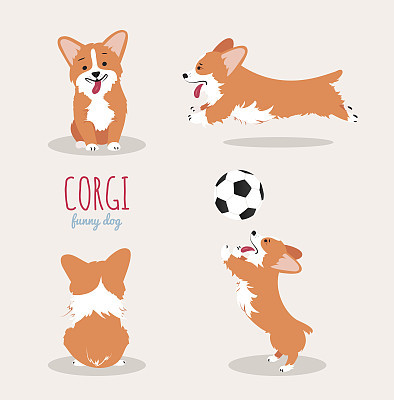 Cute Welsh Corgi Pembroke cartoon set.