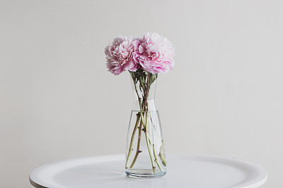 Pink peonies in glass vase on white table