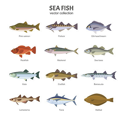 Sea fish vector collection.