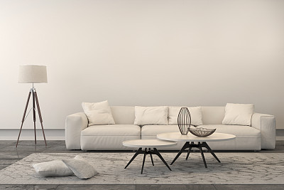 Modern white sofa in a living room