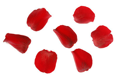 Red Rose Petals