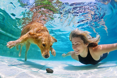 Woman with dog swimming underwater