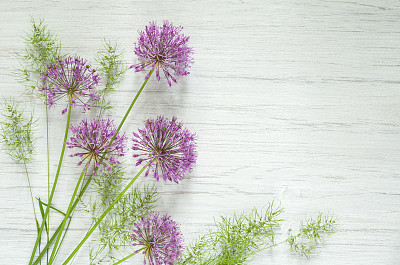 Allium flowers with green grass on wooden table background