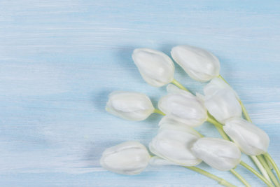 White tulips on a wooden table. Top view.