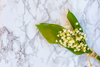 Lily of the valley or may-lily on marble background