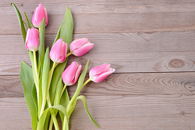 Tulips