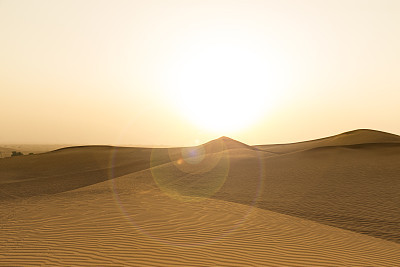 Dunes of Arabia