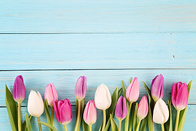 Tulips