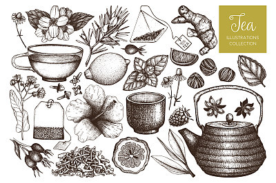 Vector tea sketch collection