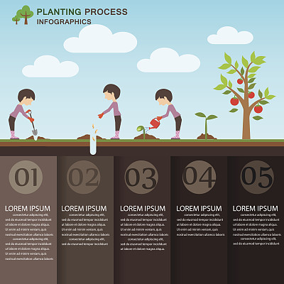 planting infographics
