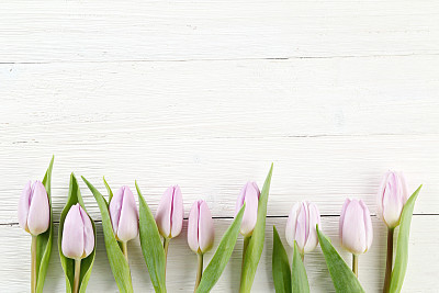 tulips