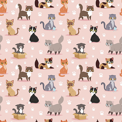 Cat breed cute kitten pet portrait fluffy young adorable cartoon animal vector illustration seamless pattern