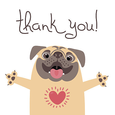 Cute dog says thank you. Pug with heart full of gratitude