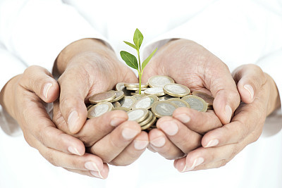 Money Tree in Hands