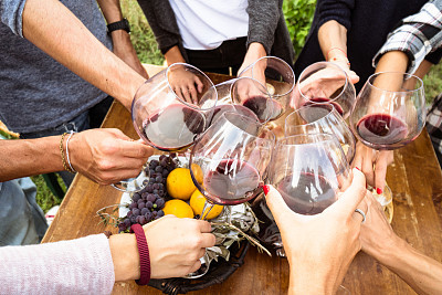 friends toasting with red wine on the lunch