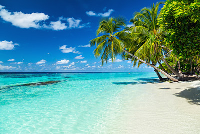 paradise beach