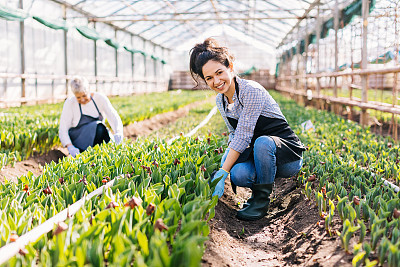 Gardeners in springtime