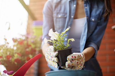 Gardening on terrace