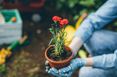 Proud gardener