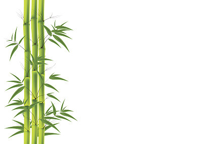 Bamboo background