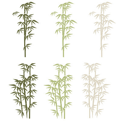 bamboo