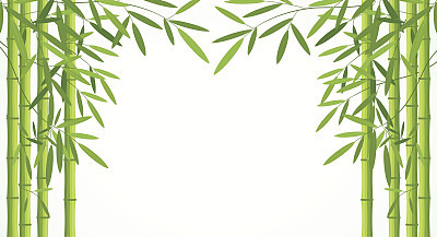 Green bamboo stems with leaves isolated on white background.