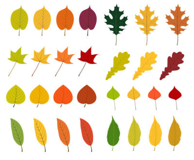 Autumn leaves icon set