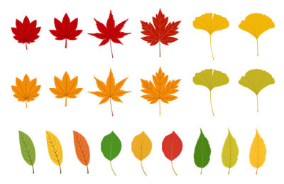 Autumn leaves set