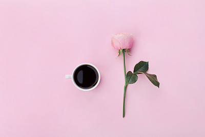Pink rose flower and coffee on pastel background. Flat lay.