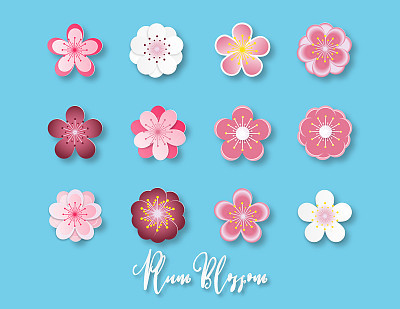 Creative vector illustration collection of plum blossom paper cut style isolated on blue background.