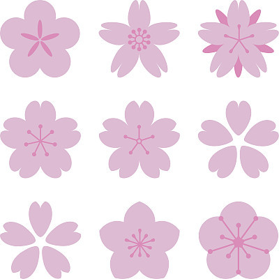 Sakura flowers set