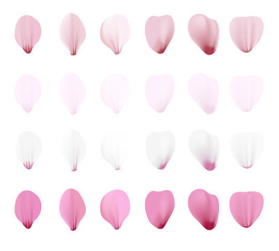 realistic pink sakura petals icon set gradient