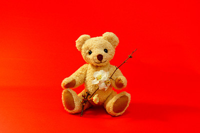 Bears with plum blossoms