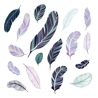 Dark and light colored feathers.
