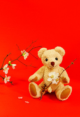Bears with plum blossoms
