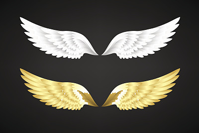White and gold angel wings