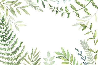 Hand drawn watercolor illustration. Botanical frame with green leaves, branches and herbs. Floral Design elements. Perfect for wedding invitations, greeting cards, prints, posters, packing etc