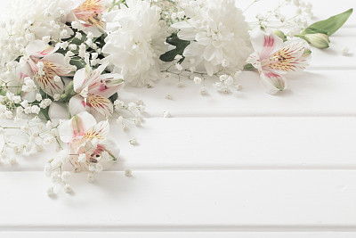 chrysanthemum on white  wooden background