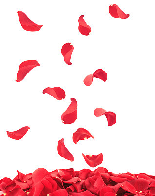 Falling Rose Petals