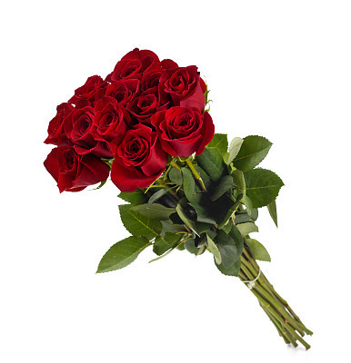 Dozen Roses