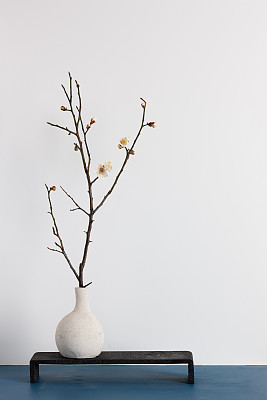 plum blossom