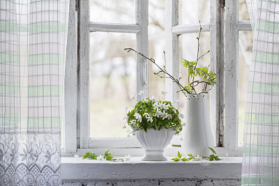 spring flowers on windowsill