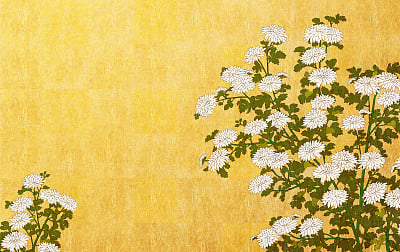 White chrysanthemum on gold leaf background