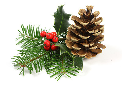 Christmas Setting