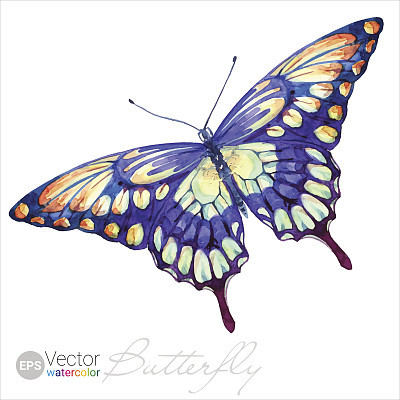 Vector Watercolor Swallowtail Butterfly