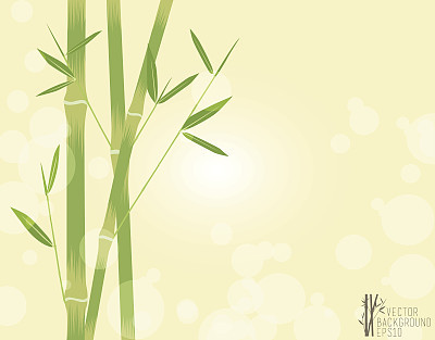 Green Bamboo background