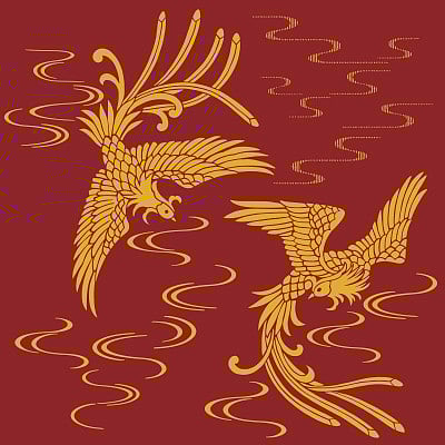 Oriental phoenix illustration