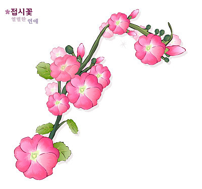 Flower On White Background