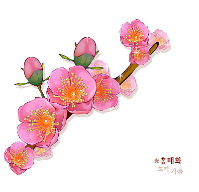 Flower On White Background
