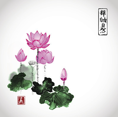 Lotus flowers hand drawn with ink